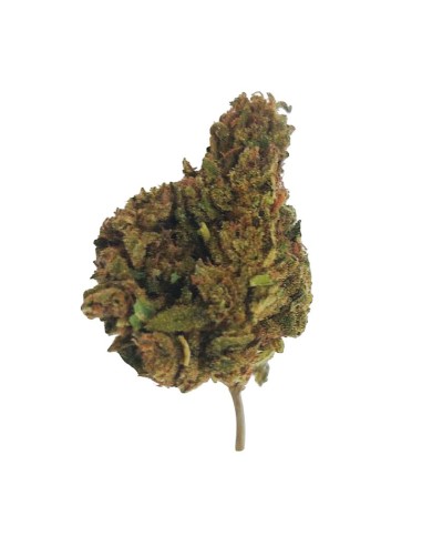 Super Skunk CBD – Fleur de CBD BIO premium française | DocVapo