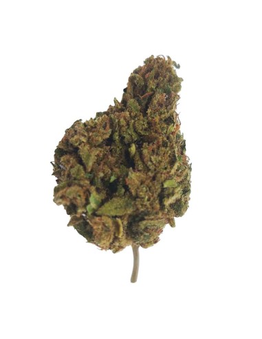 Super Skunk CBD – Fleur de CBD BIO premium française | DocVapo