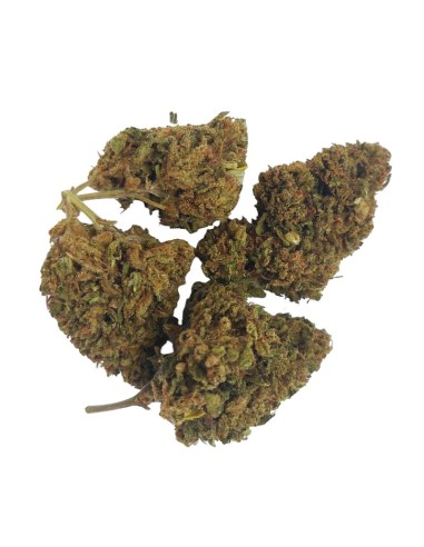 Super Skunk CBD – Fleur de CBD BIO premium française | DocVapo