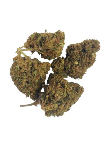 Super Skunk CBD – Fleur de CBD BIO premium française | DocVapo