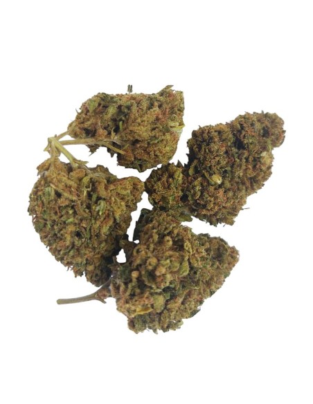 Super Skunk CBD – Fleur de CBD BIO premium française | DocVapo