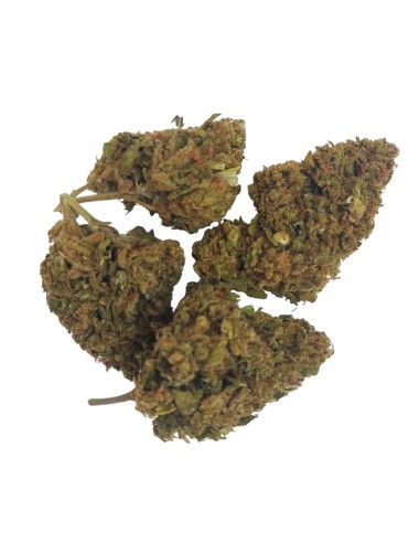 Super Skunk CBD – Fleur de CBD BIO premium française | DocVapo