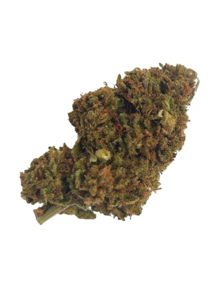Super Skunk CBD – Fleur de CBD BIO premium française | DocVapo