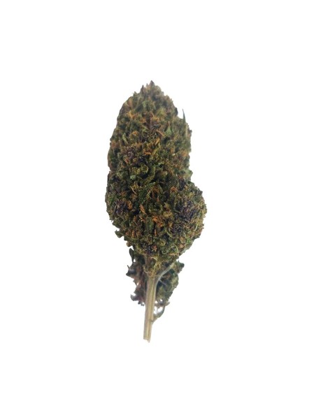 Pink Panties CBD Outdoor Bio – Fleur premium cultivée en France | DocVapo