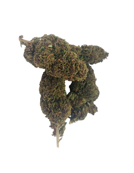 Pink Panties CBD Outdoor Bio – Fleur premium cultivée en France | DocVapo