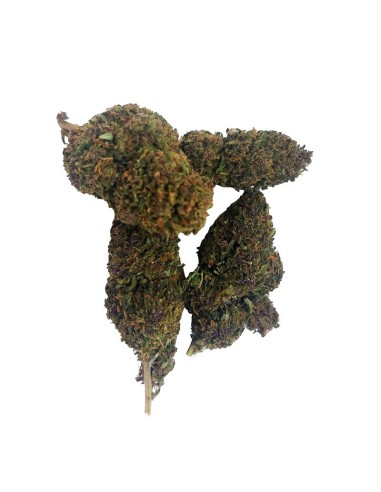 Pink Panties CBD Outdoor Bio – Fleur premium cultivée en France | DocVapo