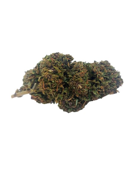 Pink Panties CBD Outdoor Bio – Fleur premium cultivée en France | DocVapo