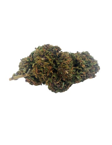 Pink Panties CBD Outdoor Bio – Fleur premium cultivée en France | DocVapo