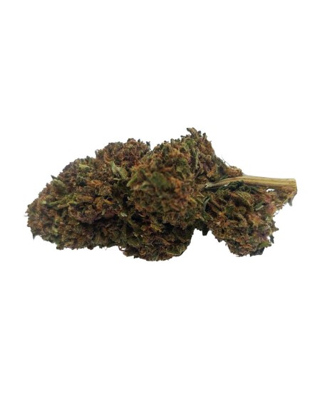 Blue Dream CBD Outdoor Bio – Fleur premium française | DocVapo