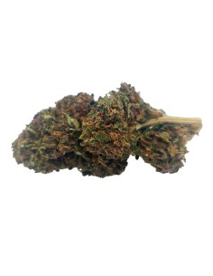 Blue Dream CBD Outdoor Bio – Fleur premium française | DocVapo