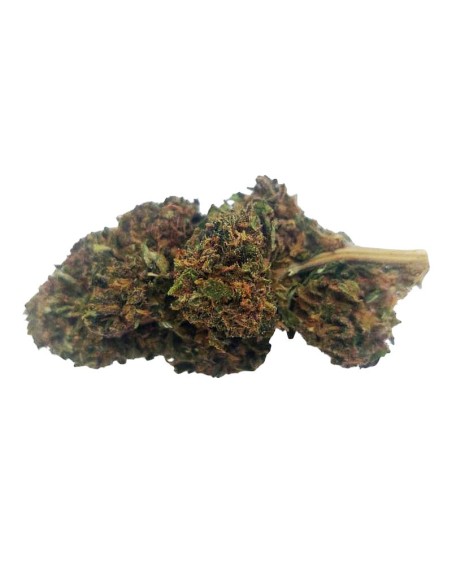 Blue Dream CBD Outdoor Bio – Fleur premium française | DocVapo