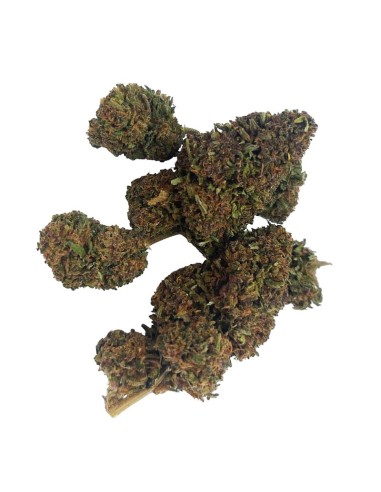 Blue Dream CBD Outdoor Bio – Fleur premium française | DocVapo