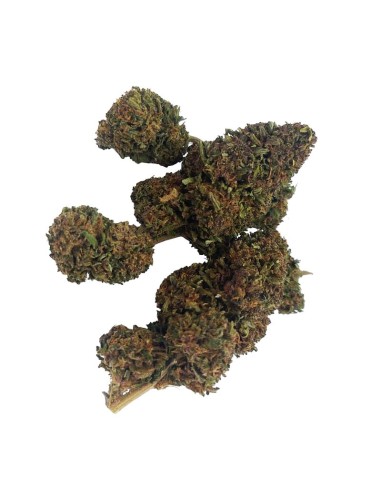 Blue Dream CBD Outdoor Bio – Fleur premium française | DocVapo