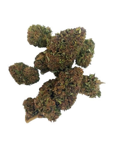 Blue Dream CBD Outdoor Bio – Fleur premium française | DocVapo