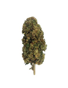 Tangie CBD Greenhouse – Fleur premium cultivée sous serre en France | DocVapo