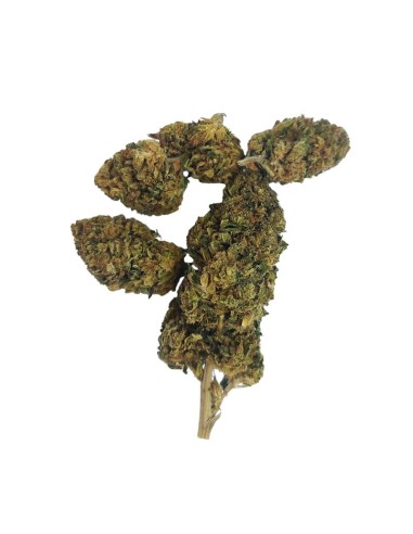 Tangie CBD Greenhouse – Fleur premium cultivée sous serre en France | DocVapo