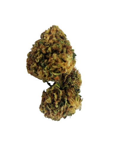 Tangie CBD Greenhouse – Fleur premium cultivée sous serre en France | DocVapo