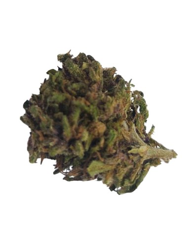 Purple Kush CBD Small Bud – Fleurs Outdoor Bio Françaises | DocVapo