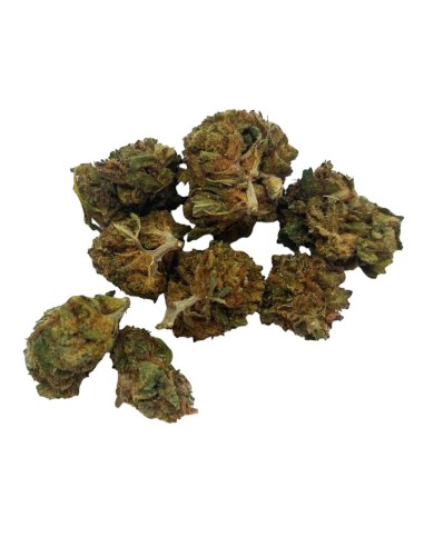 Super Skunk CBD Small Bud – Mini fleurs outdoor bio cultivées en France | DocVapo