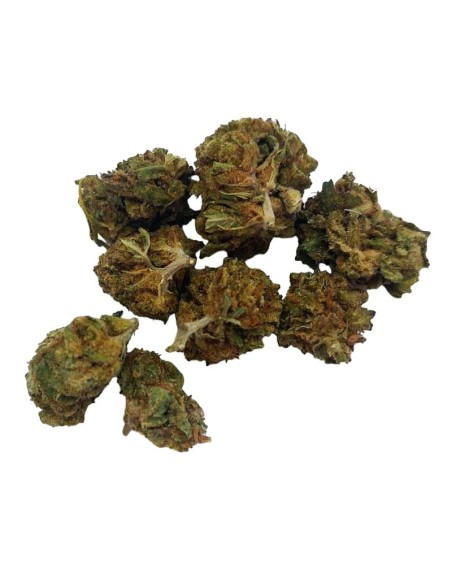 Super Skunk CBD Small Bud – Mini fleurs outdoor bio cultivées en France | DocVapo