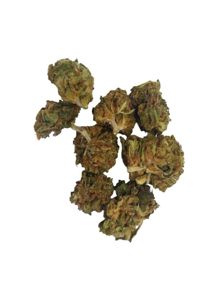 Super Skunk CBD Small Bud – Mini fleurs outdoor bio cultivées en France | DocVapo
