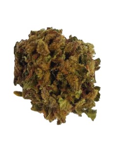 Super Skunk CBD Small Bud – Mini fleurs outdoor bio cultivées en France | DocVapo 2