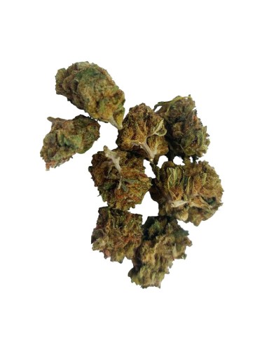 Super Skunk CBD Small Bud – Mini fleurs outdoor bio cultivées en France | DocVapo