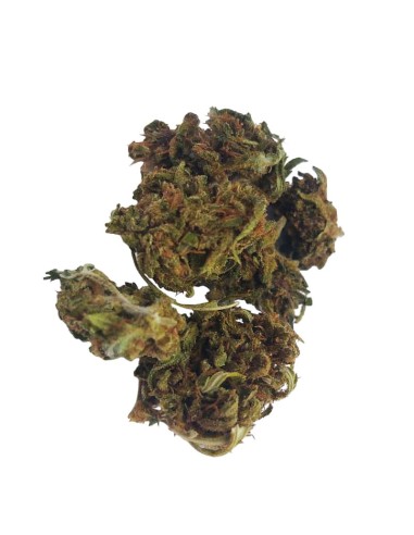 Purple Cake CBD Small Bud – Mini fleurs outdoor bio cultivées en France | DocVapo