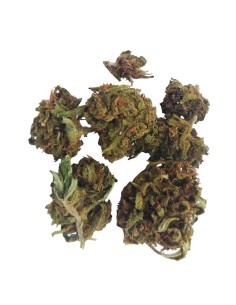 Purple Cake CBD Small Bud – Mini fleurs outdoor bio cultivées en France | DocVapo