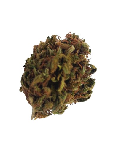 Purple Cake CBD Small Bud – Mini fleurs outdoor bio cultivées en France | DocVapo