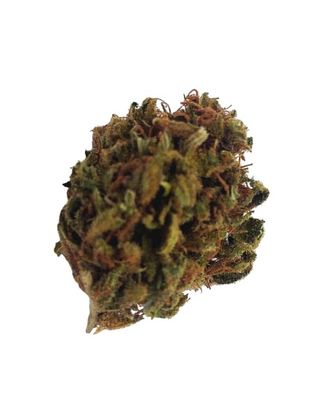 Purple Cake CBD Small Bud – Mini fleurs outdoor bio cultivées en France | DocVapo