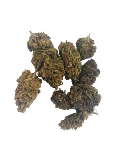 Tropical Mango CBD Outdoor – Fleur CBD bio cultivée en France | DocVapo