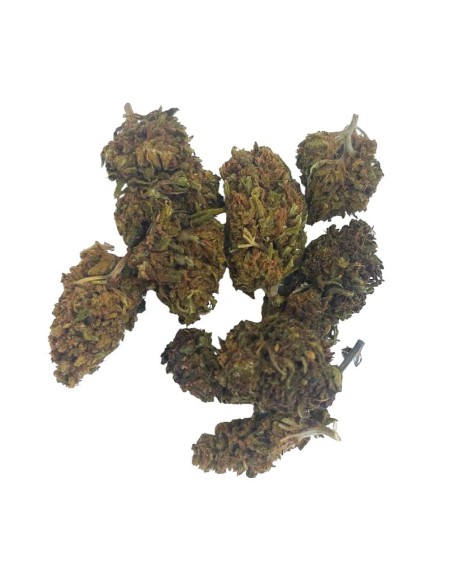 Tropical Mango CBD Outdoor – Fleur CBD bio cultivée en France | DocVapo