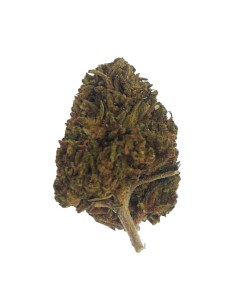 Tropical Mango CBD Outdoor – Fleur CBD bio cultivée en France | DocVapo 2