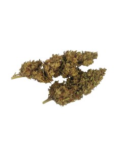 Mad Dog CBG – Fleur CBG Outdoor bio cultivée en permaculture | DocVapo 2