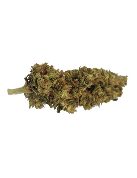 Mad Dog CBG – Fleur CBG Outdoor bio cultivée en permaculture | DocVapo