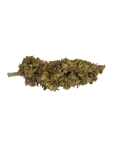 Mad Dog CBG – Fleur CBG Outdoor bio cultivée en permaculture | DocVapo