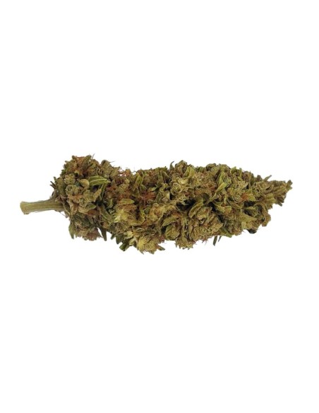 Mad Dog CBG – Fleur CBG Outdoor bio cultivée en permaculture | DocVapo