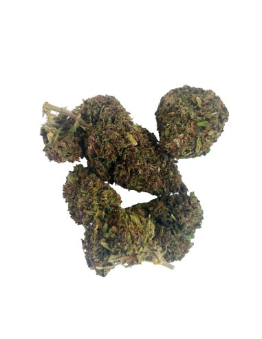 Purple Haze CBD Greenhouse – Fleur premium cultivée sous serre en France | DocVapo