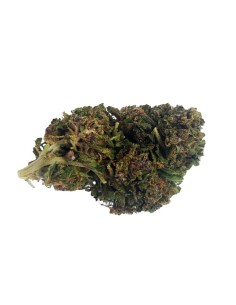 Purple Haze CBD Greenhouse – Fleur premium cultivée sous serre en France | DocVapo