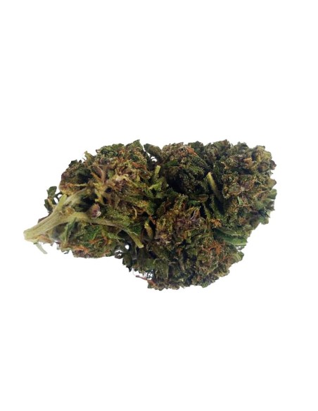 Purple Haze CBD Greenhouse – Fleur premium cultivée sous serre en France | DocVapo