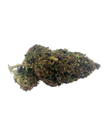 Purple Haze CBD Greenhouse – Fleur premium cultivée sous serre en France | DocVapo