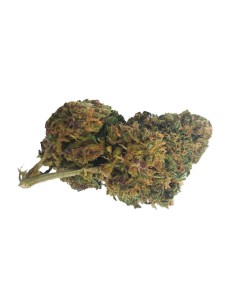 Deep Purple CBD Greenhouse – Fleur CBD cultivée sous serre en France 2