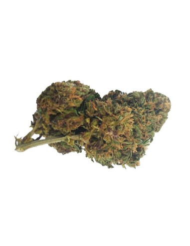 Deep Purple CBD Greenhouse – Fleur CBD cultivée sous serre en France