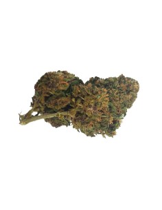 Deep Purple CBD Greenhouse – Fleur CBD cultivée sous serre en France