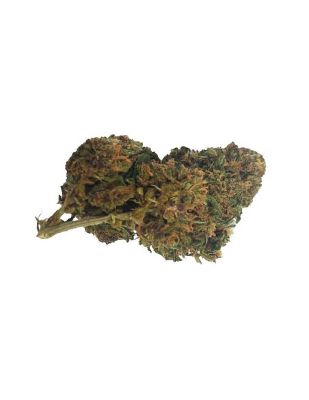 Deep Purple CBD Greenhouse – Fleur CBD cultivée sous serre en France