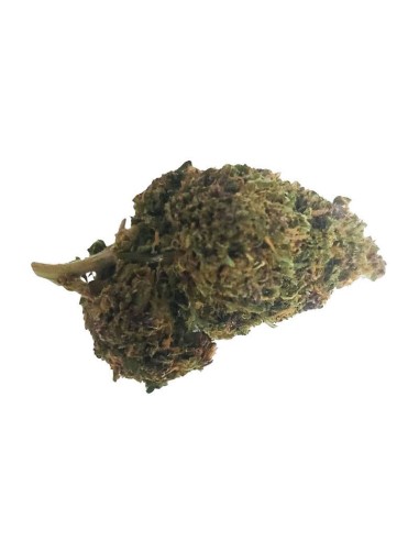 Deep Purple CBD Greenhouse – Fleur CBD cultivée sous serre en France