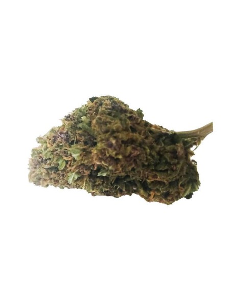 Deep Purple CBD Greenhouse – Fleur CBD cultivée sous serre en France