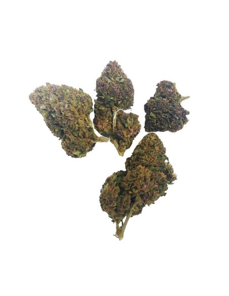 Deep Purple CBD Greenhouse – Fleur CBD cultivée sous serre en France