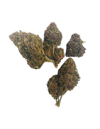 Deep Purple CBD Greenhouse – Fleur CBD cultivée sous serre en France